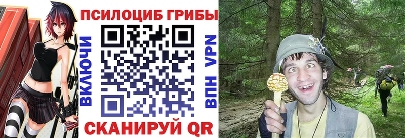 мориарти наркотические препараты  Чернушка  Псилоцибиновые грибы Psilocybe 