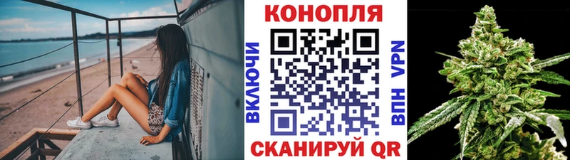 Конопля Ganja  Чернушка 
